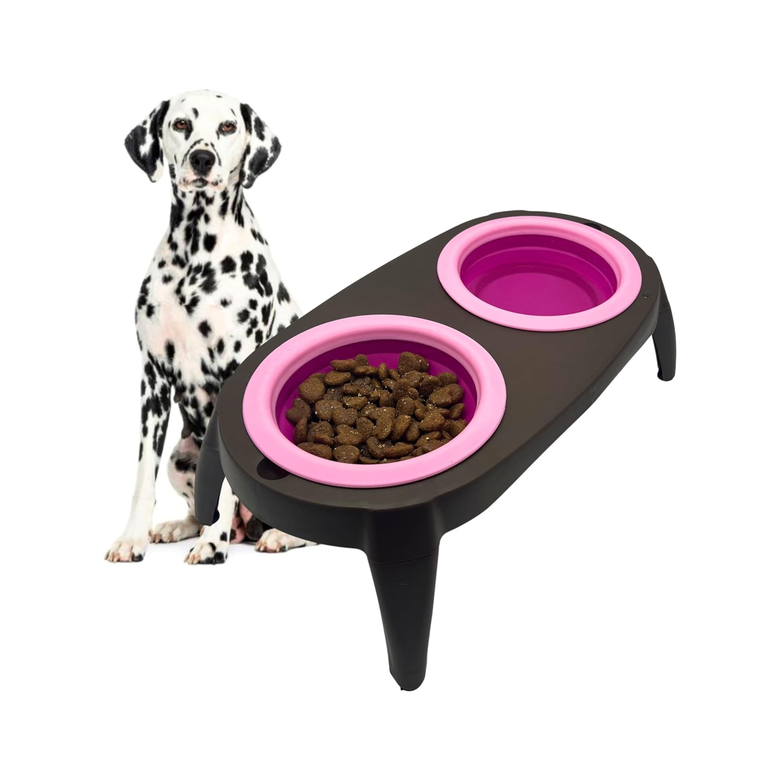 Comedero Elevado Para Perros New Age Pet ECOFLEX® - Con 2 Cuencos Acero Inoxidable 32oz Y Tapa Deslizante