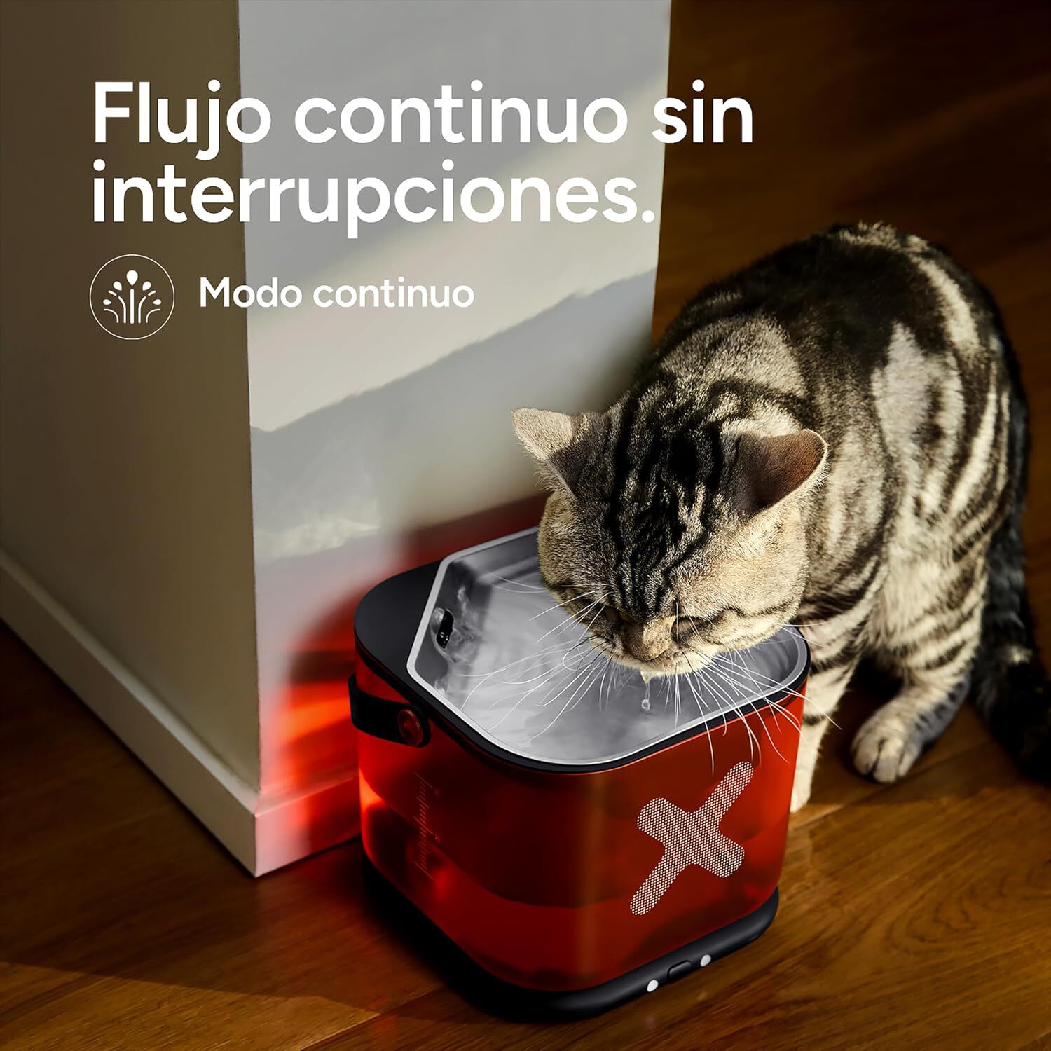 Molly&Cody Fuente de Agua Autom&aacute;tica Inal&aacute;mbrica para Gatos y Perros Peque&ntilde;os de 3 L, , large Imagen numero 4