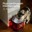 Molly&Cody Fuente de Agua Autom&aacute;tica Inal&aacute;mbrica para Gatos y Perros Peque&ntilde;os de 3 L, , large indicador imagen numero 4