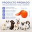 Robik Motion Interactive Ball Naranja | Pelota Interactiva Premium para Perros con Movimiento Autom&aacute;tico, 3 Modos de Juego y USB-C, , large indicador imagen numero 2