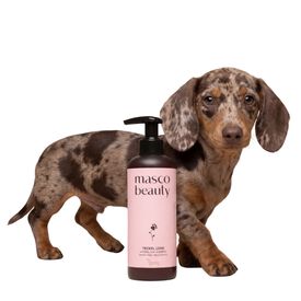 Champ&uacute; para Teckel con Jojoba y Manzanilla &middot; Champ&uacute; especial perro salchicha y Dachshund de pelo corto &middot; Brillo intenso y piel calmada &middot; Apto para ba&ntilde;os frecuentes &middot; Hecho en Espa&ntilde;a &middot; 250 ml