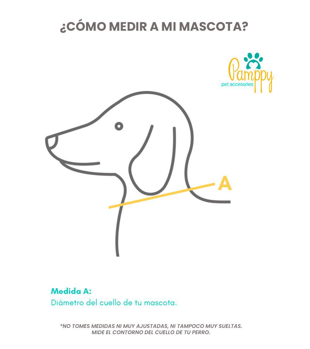 Pamppy funny c&oacute;mic beep collar de algod&oacute;n y poli&eacute;ster multicolor para perros, , large Imagen numero 3