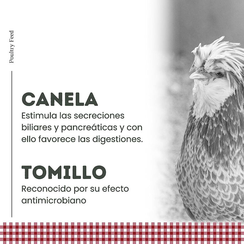 Finca Casarejo Pienso POULTRY FEED Puesta para gallina thumbnail