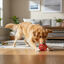 Tootoy! Pelota Easy Grip Hexagonal para perros, , large indicador imagen numero 1