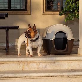 Ferplast Kenny Caseta de Plástico Marrón para perros