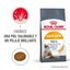 10 kg Royal Canin HairySkin pienso para gatos, , large indicador imagen numero 7