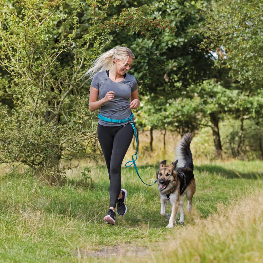 Correa con cintur&oacute;n azul para perros, , large Imagen numero 3