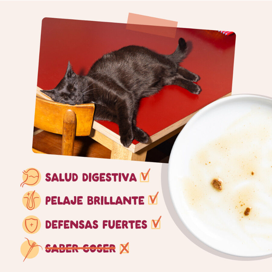12 x 85 g Edgard & Cooper Festines de la Granja sobre en salsa para gatos, , large Imagen numero 4
