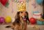 Gorro de cumplea&ntilde;os forma de corona - Hecha a mano - Estampado de Perro Salchicha - Hot Dog, , large indicador imagen numero 3