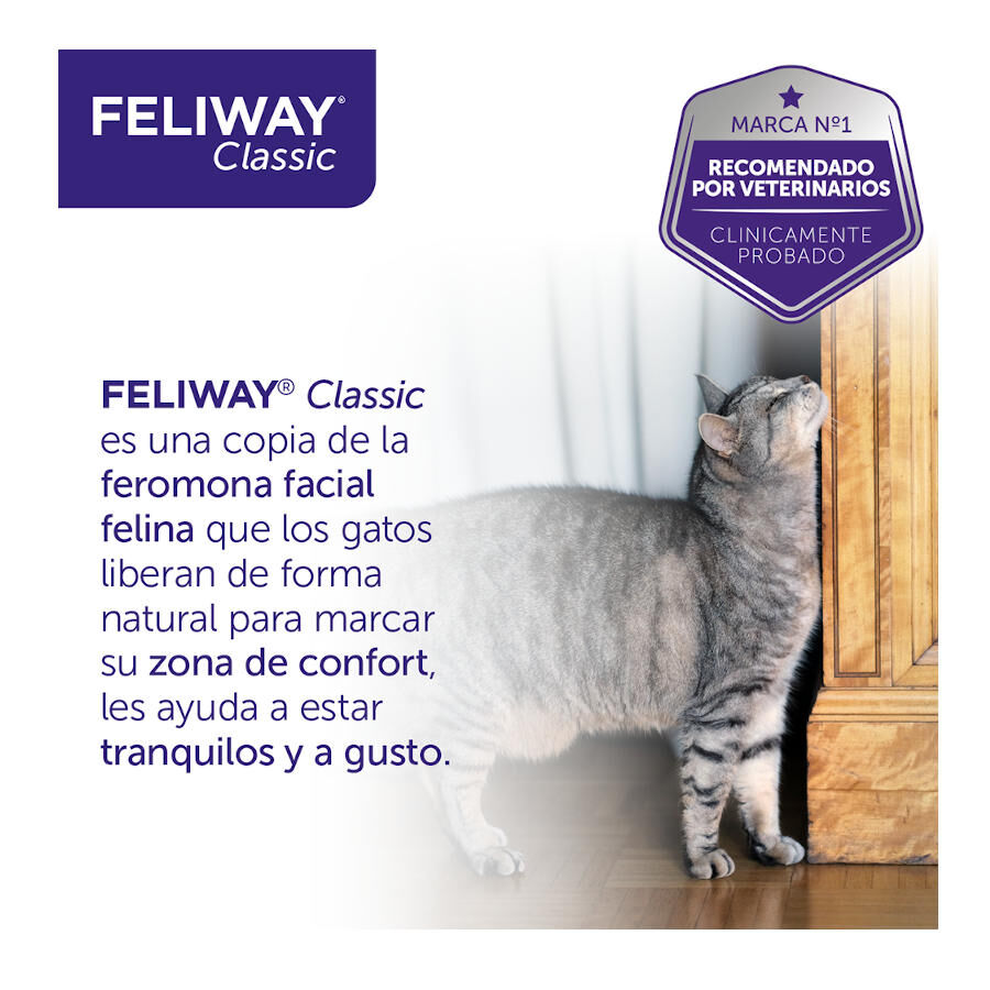 Feliway Classic Difusor y/o Recambio Tranquilizante para gatos thumbnail