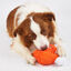 FOFOS Brinquedo Resistente para C&atilde;o &ndash; Raposa S, , large indicador imagen numero 2