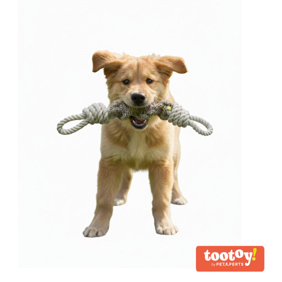Tootoy! Mordedor de Cuerda con Nudos para perros, , large Imagen numero 8