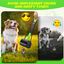 Nobleza Recogedor de Caca de Perros, 60cm Recoge Cacas de perro Portátil Plegable, Dog Poop Scooper con 1 Rollo de Bolsas para Excrementos y 1 Dispensador, Mango Largo, Sólido Dentado, , large indicador imagen numero 2