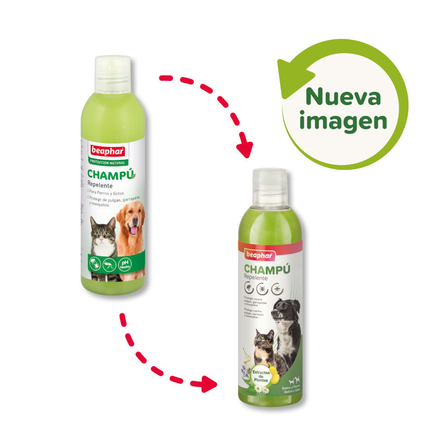 Beaphar Champ&uacute; Repelente para perros y gatos, , large Imagen numero 2