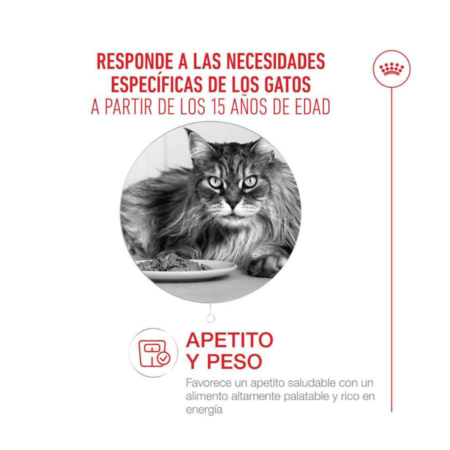 400 g Royal Canin Ageing +15 pienso para gato senior, , large Imagen numero 3
