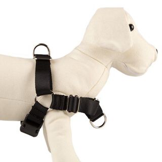 TK-Pet Arnés de Adiestramiento para perros