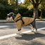 Gotoo Chaqueta Impermeable con Arn&eacute;s para perros, , large indicador imagen numero 1