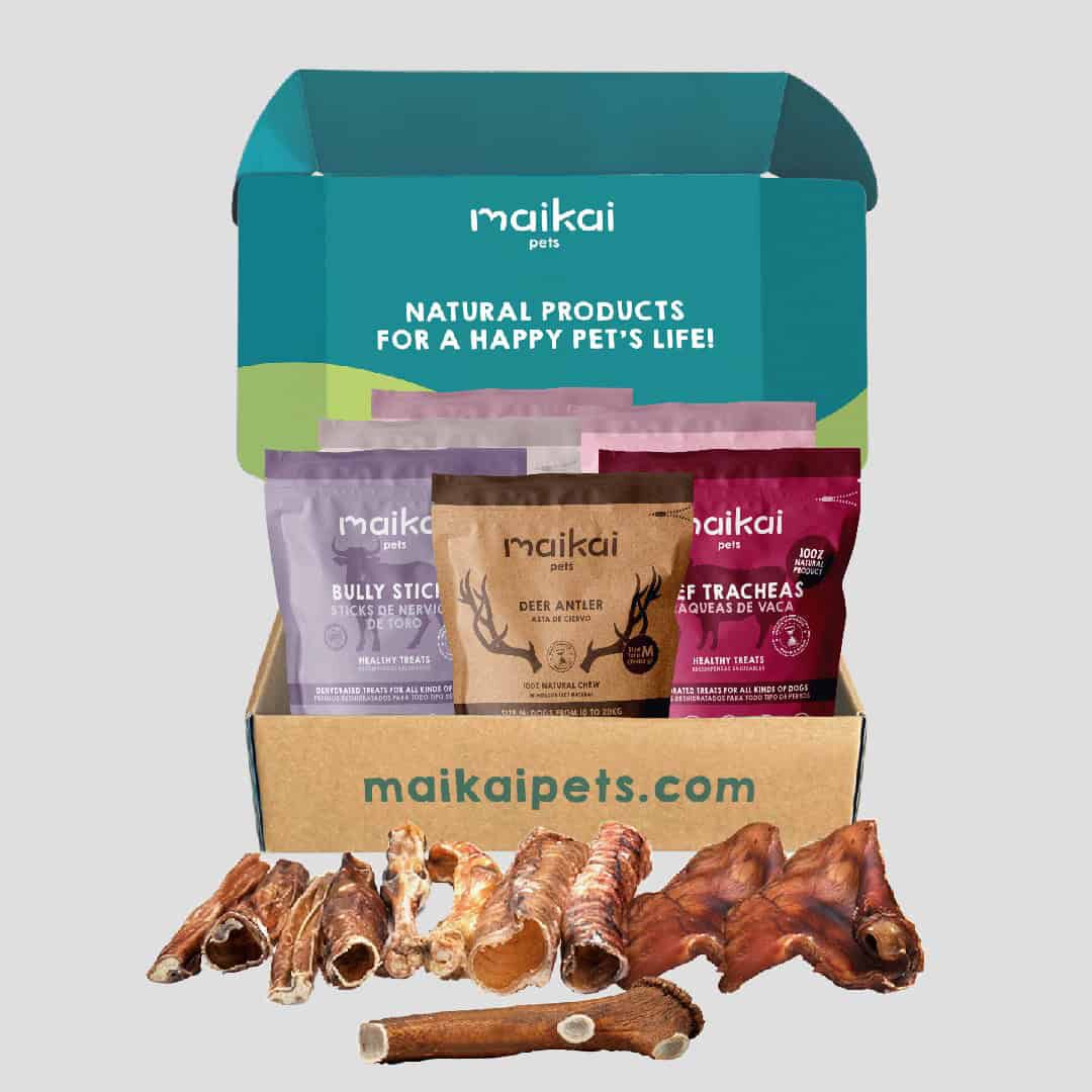 Caja Regalo Navidad - Pack de 5 Mordedores + asta de ciervo para perros, , large Imagen numero 5