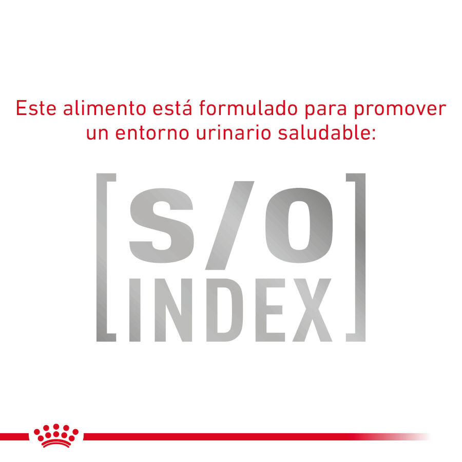 12 sobres x 85 g Royal Canin Gastrointestinal Fibre Response L&aacute;minas en Salsa Sobre para gatos, , large Imagen numero 5