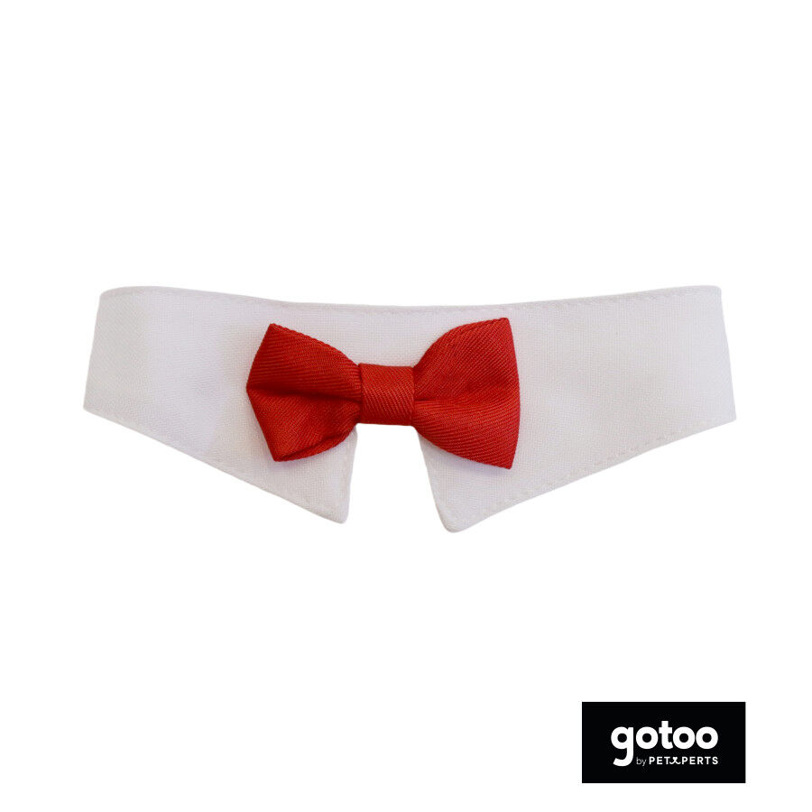 Gotoo Pajarita roja para gatos thumbnail