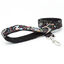 candyPet&reg; Correa para Perros - 120 cm con Asa acolchada - Modelo Multicolor, , large indicador imagen numero 1