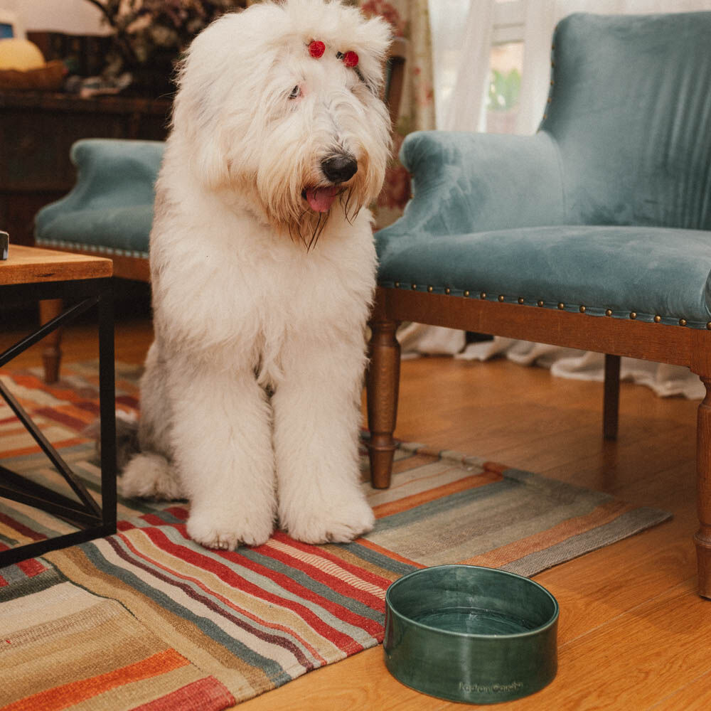 BOWL VERDE - M, , large Imagen numero 5