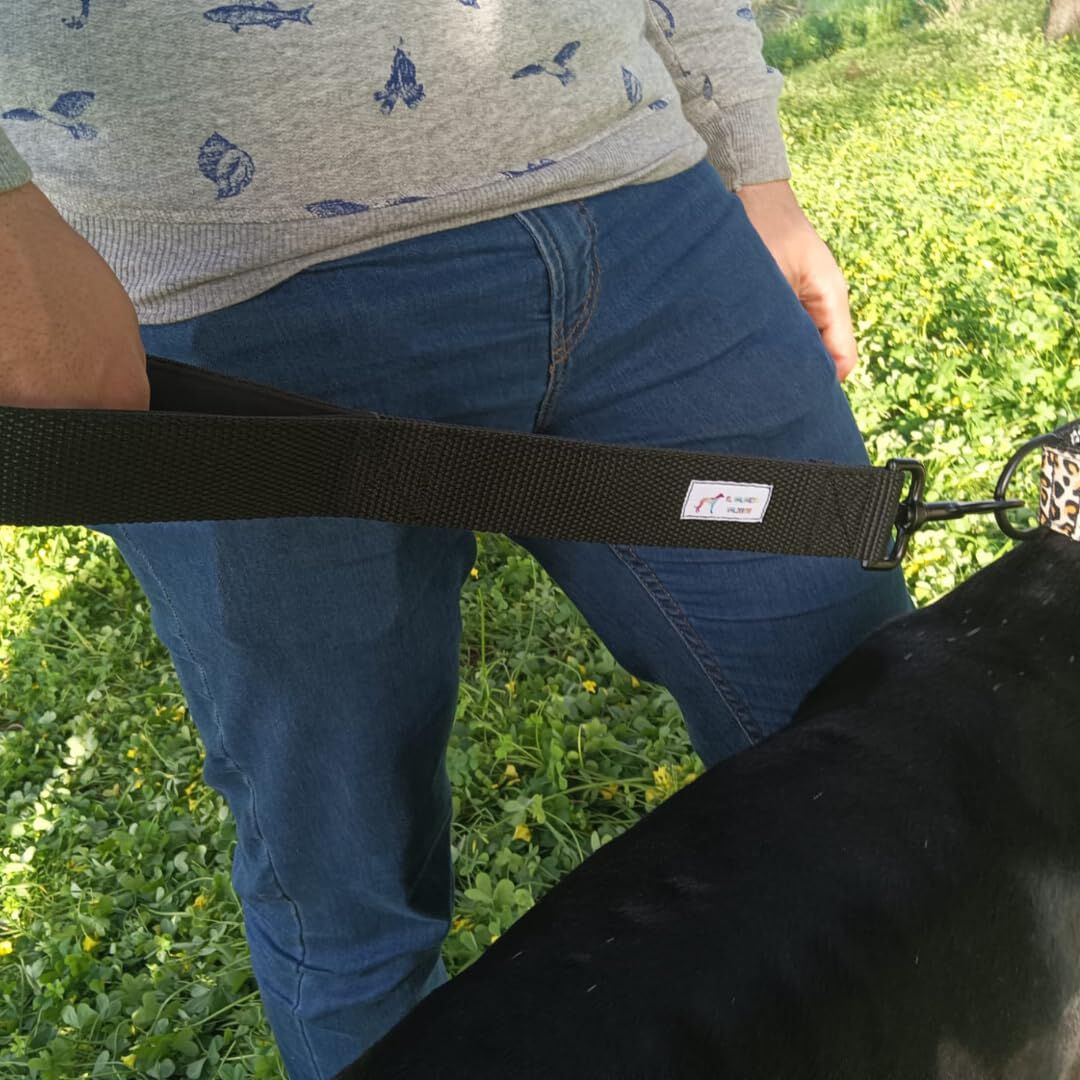 EGV - Correa corta perro 4cm ancho, asa neopreno y mosquet&oacute;n reforzado. 50cm longitud. (Verde), , large Imagen numero 5