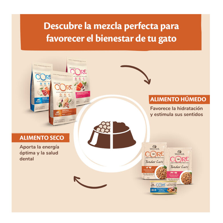 Wellness Core Kitten Pavo y Pollo pienso para gatos, , large image number null