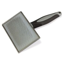 Carda para perros