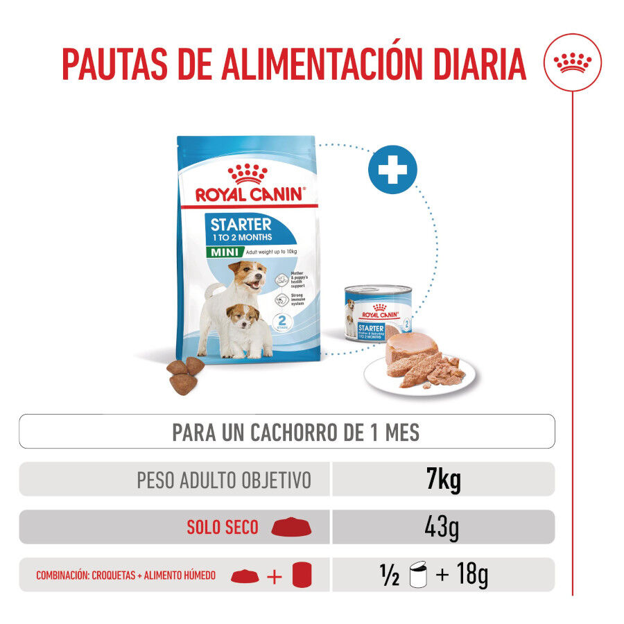 Royal Canin Starter MotheryBaby Mini pienso para perros thumbnail