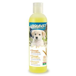 Champú para cachorros olor Neutro