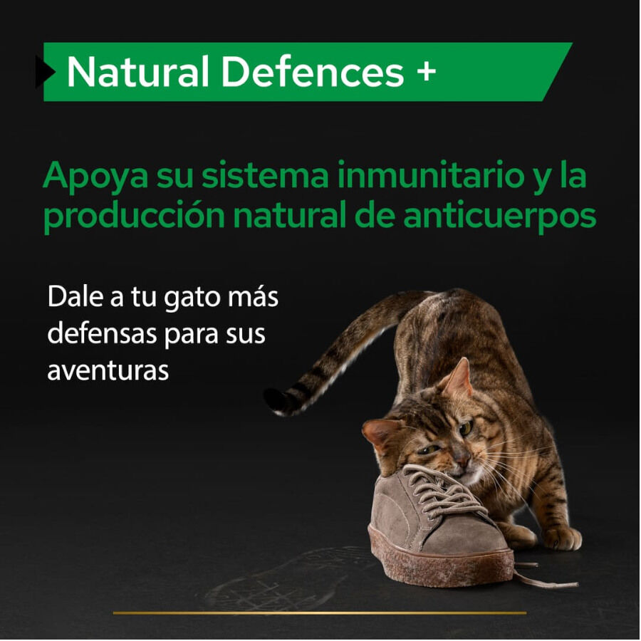 60 g Pro Plan Natural Defences + para gatos, , large Imagen numero 3