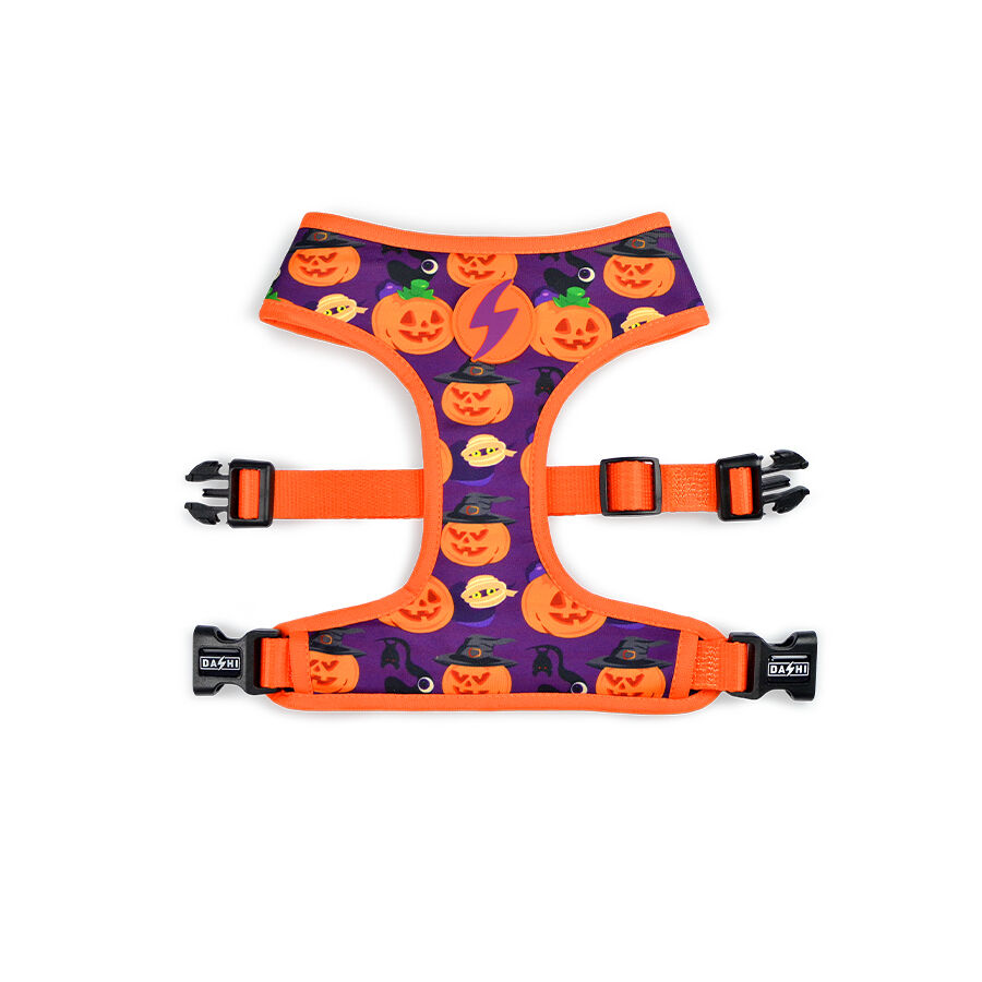 Arn&eacute;s reversible Pumpkin Neo Mesh para perros color Varios, , large Imagen numero 1