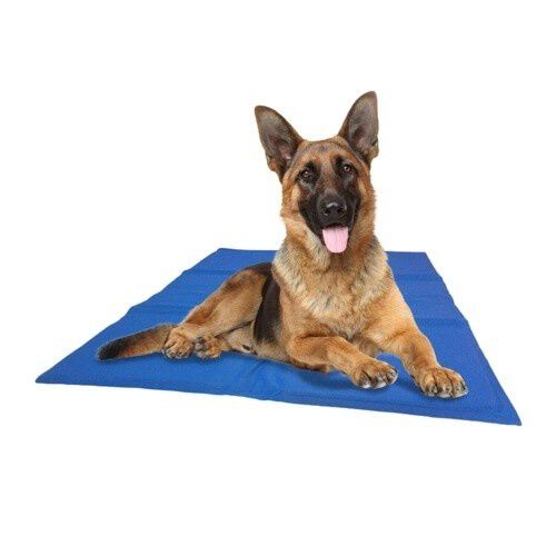 Manta refrigerante perros sale tiendanimal