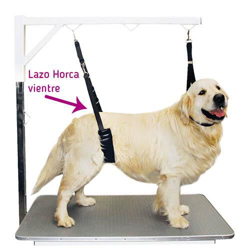 Lazo horca acolchado para vientre LAZO HORCA RAZAS PEQUE&Ntilde;AS, , large Imagen numero 1