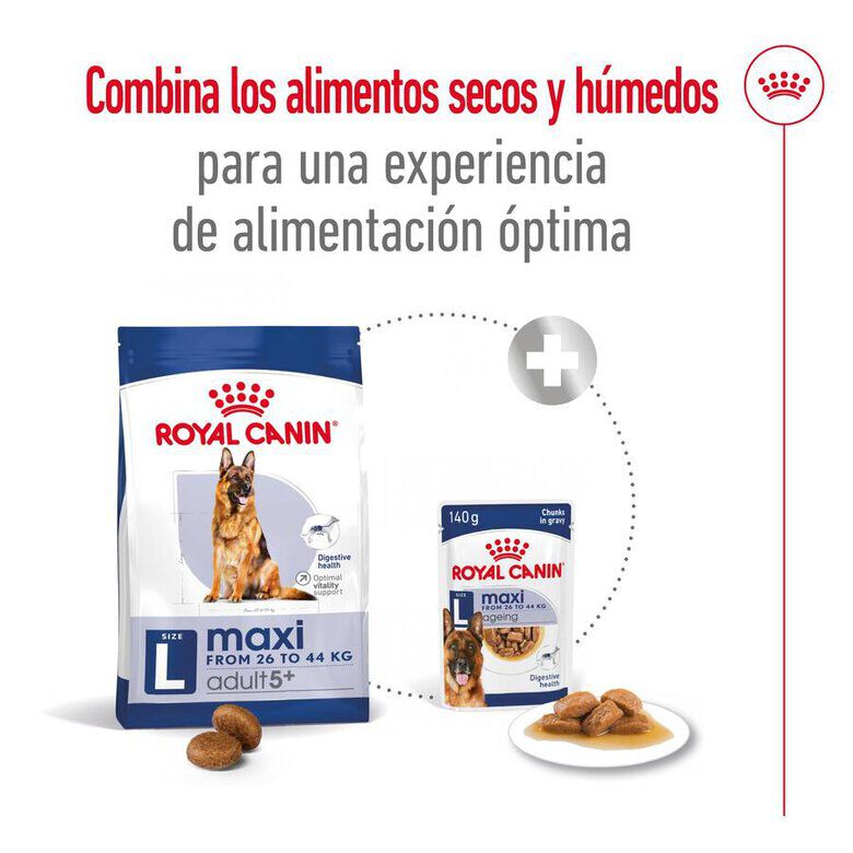 15 kg Royal Canin Maxi Adult 5+ pienso para perros senior de raza grande, , large Imagen numero 10