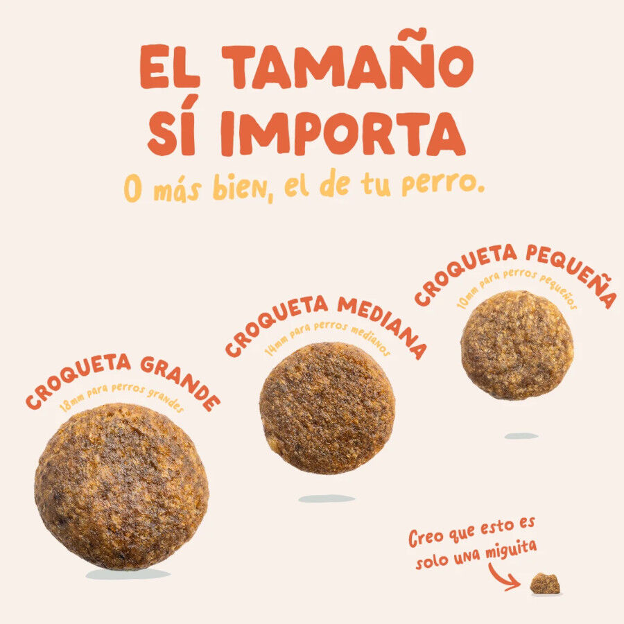 3 kg Edgard & Cooper Pienso Pollo para perros adultos mini, , large Imagen numero 4