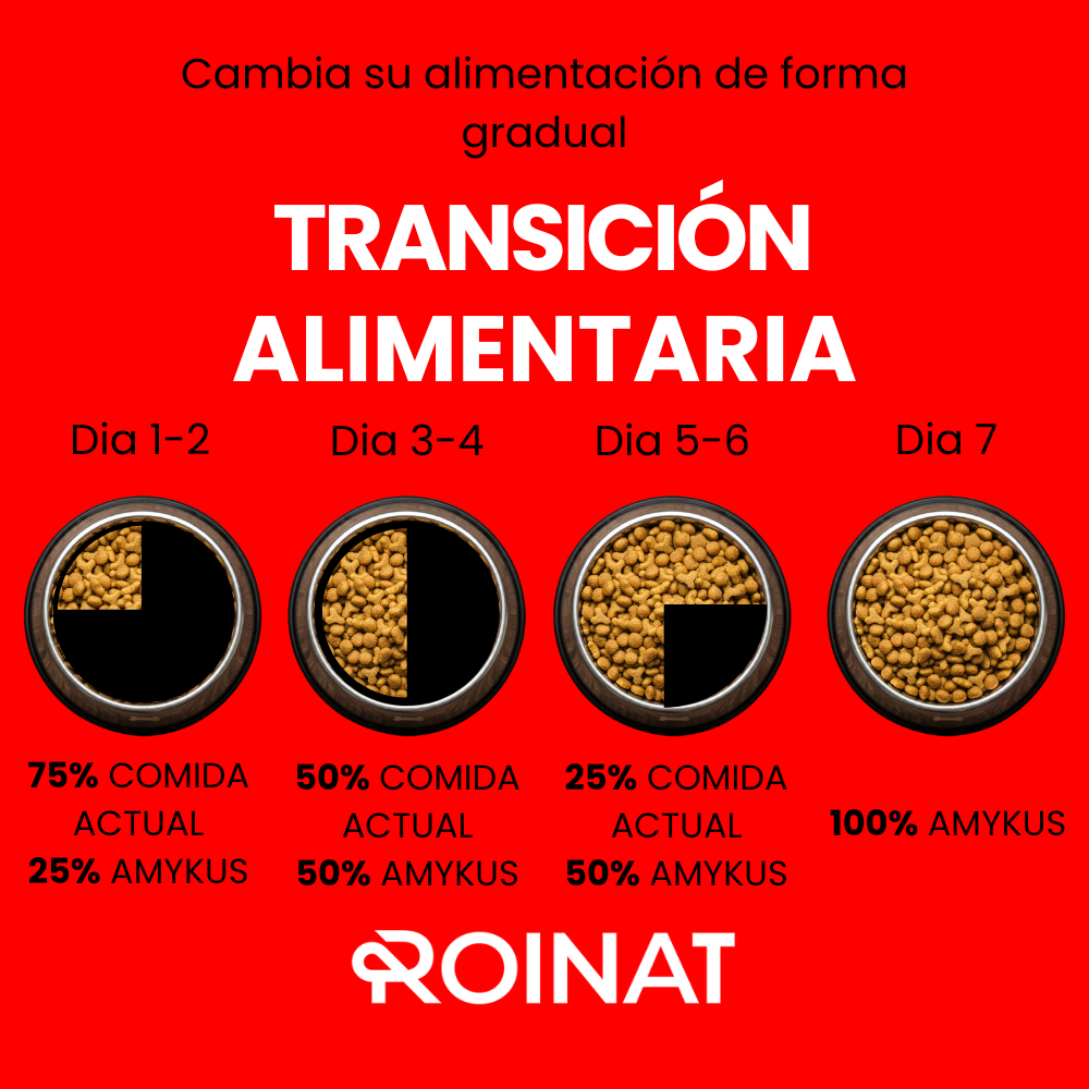 Roinat Cat Adult pienso de pollo para gato, , large Imagen numero 7