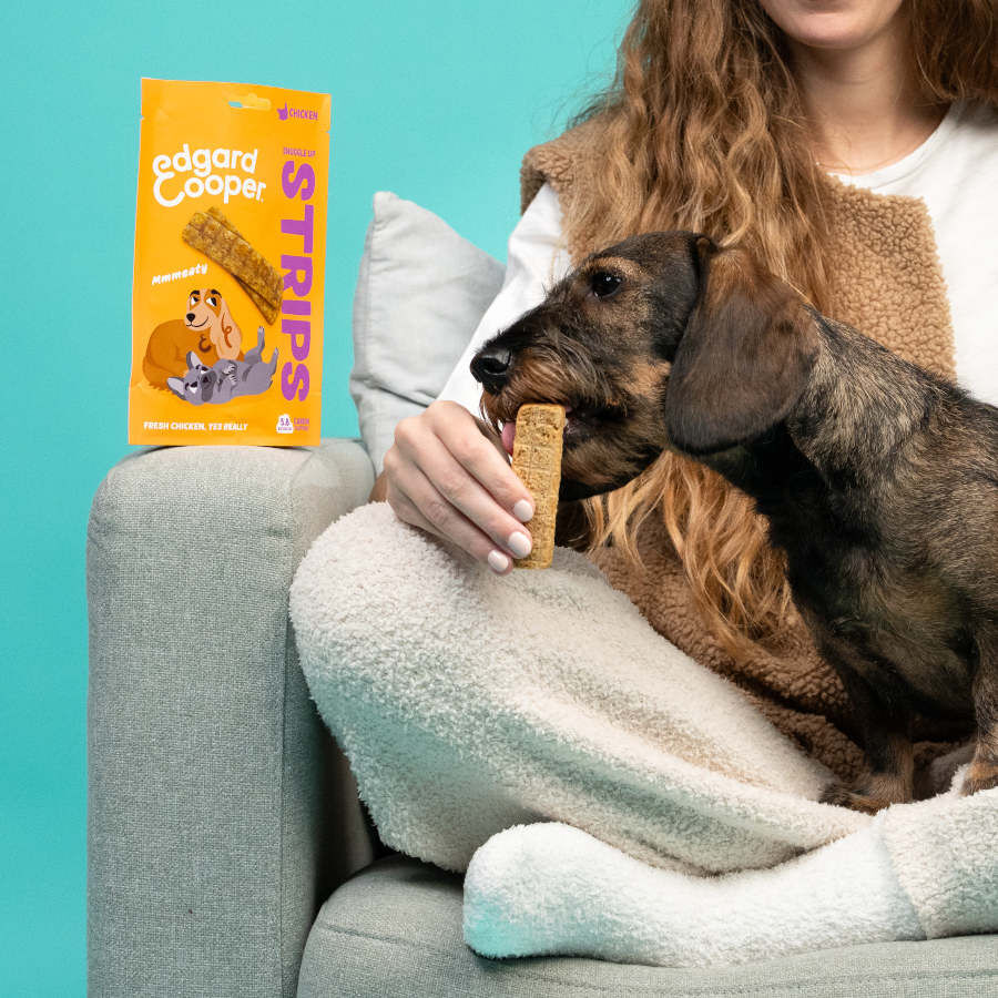 Edgard &amp; Cooper Tiras de Pollo snack para perros thumbnail