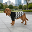 Gotoo Chaqueta Estampado ZigZag para perros, , large indicador imagen numero 1