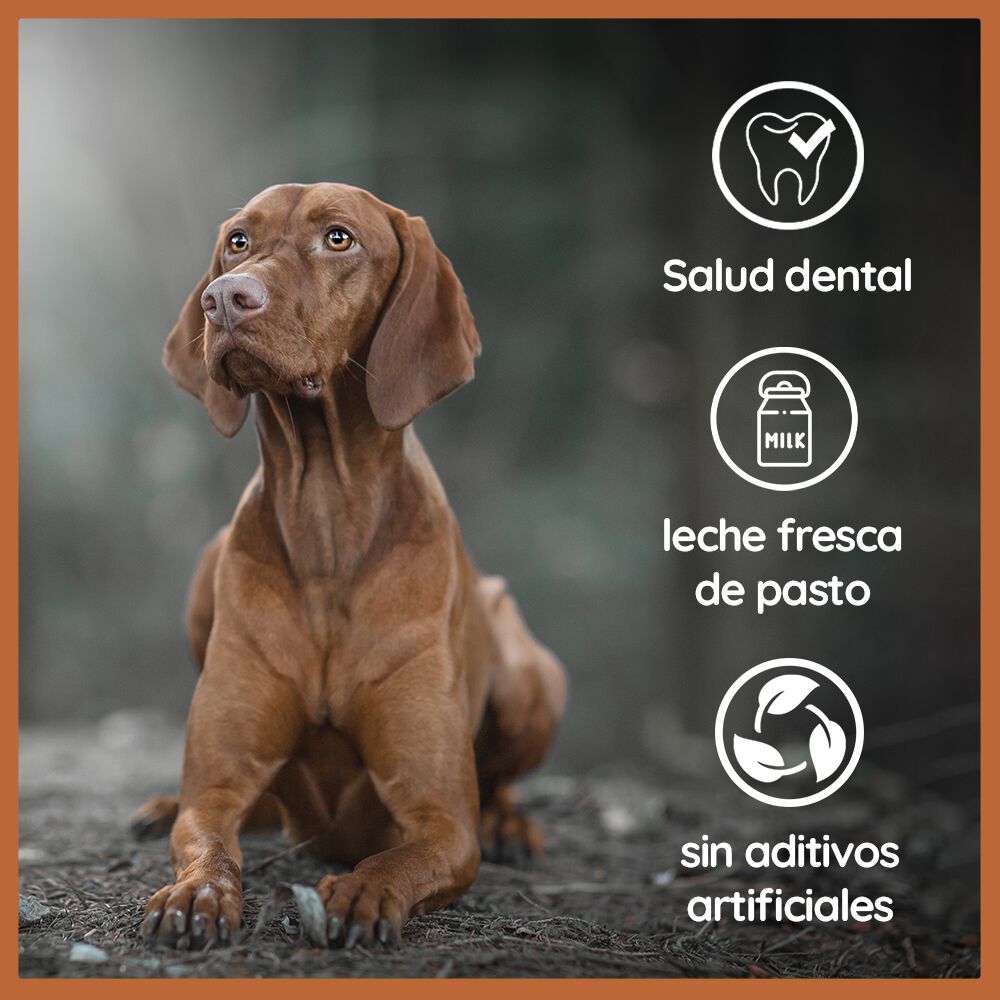 Palillo masticable de queso duro Wildfang&reg; Yak seg&uacute;n la receta del Himalaya para perros - XL, , large Imagen numero 2