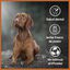 Palillo masticable de queso duro Wildfang® Yak según la receta del Himalaya para perros - S, , large indicador imagen numero 2