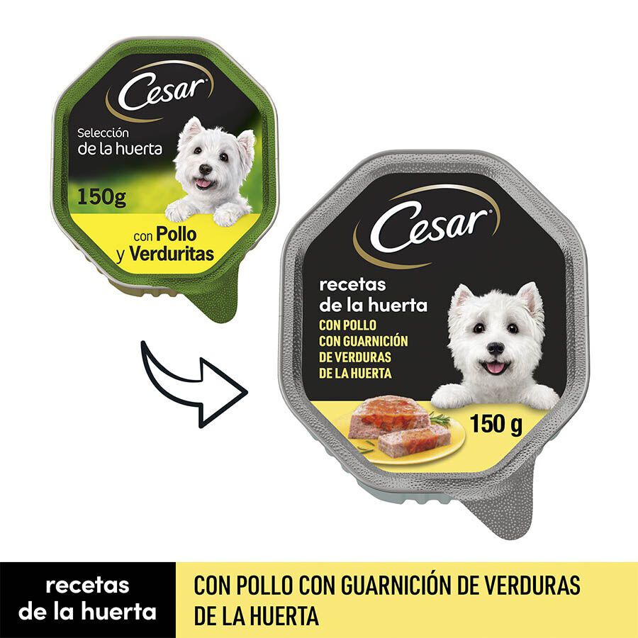 Cesar Recetas de la huerta Tarrina en Paté y Gelatina para Perros thumbnail