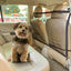 Nobleza Vallas Para Perros,Red de Barrera,Reja Coche Perro Maletero Universal, mascotas perros accesorios,115 x 62 cm, , large indicador imagen numero 2