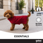 Gotoo Jersey de Punto Rojo para perros, , large indicador imagen numero 6