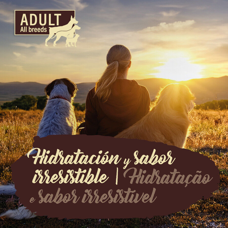 True Origins Pure Multipack Pouches para Perros, , large Imagen numero 8