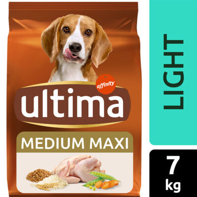 Affinity Ultima Adult Medium/Maxi Light Pollo pienso para perros