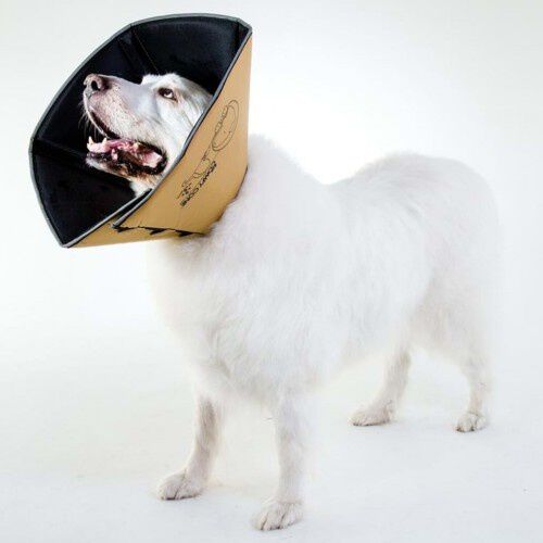 Collar m&eacute;dico para mascotas color Beige, , large Imagen numero 11