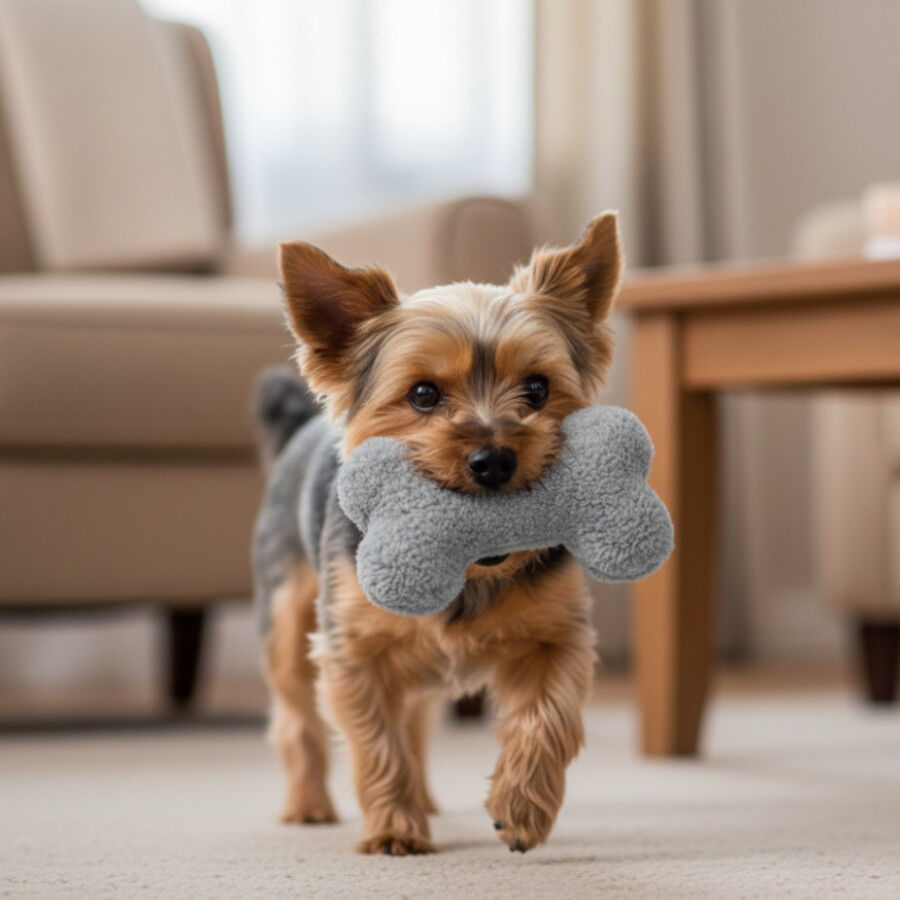 Tootoy! Hueso de Peluche con Sonido Gris para perros , , large Imagen numero 1