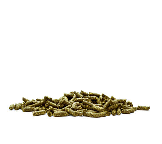 Herb Pellet Premium para Conejos &ndash; 500g - Pienso Completo y Natural para Roedores (Conejos, cobayas..) - Alimento Completo elaborado a Base de Plantas, , large Imagen numero 3